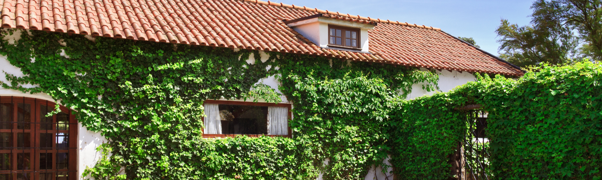 Descubra nuestra gran oferta inmobiliaria Ciudad Rodrigo. RELAFIS, S.L. en Ciudad Rodrigo